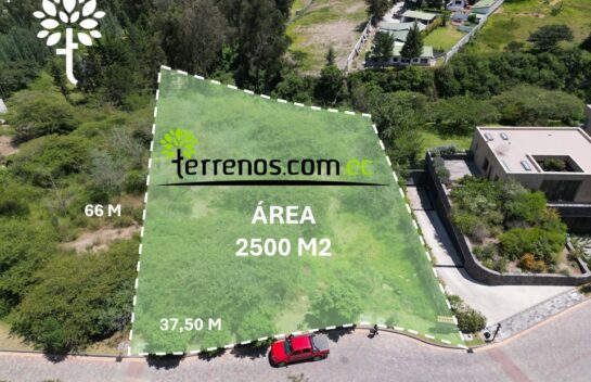 Terreno de venta en Tumbaco 2500 m2, Urbanización Pachosalas, Club Casa de Campo, Ruta viva