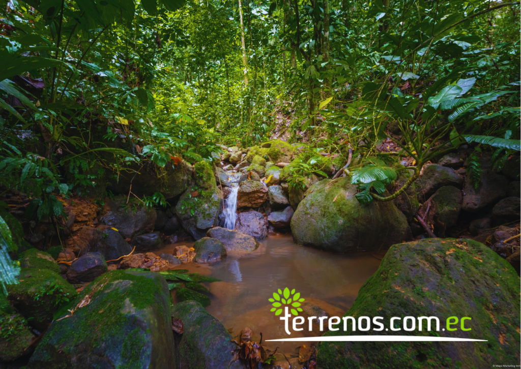 Vista adicional de terreno en venta en Puerto Quito, Pichincha
