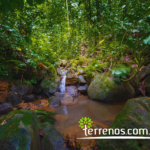 Vista adicional de terreno en venta en Puerto Quito, Pichincha