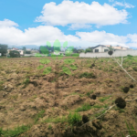 Vista adicional de terreno en venta en LLano Grande, Quito, Pichincha