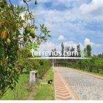 Vista adicional de terreno en venta en Puembo, Quito, Pichincha