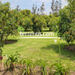 Vista adicional de terreno en venta en Puembo, Quito, Pichincha