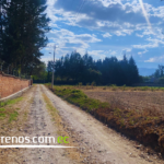 Vista adicional de terreno en venta en Puembo, Quito, Pichincha