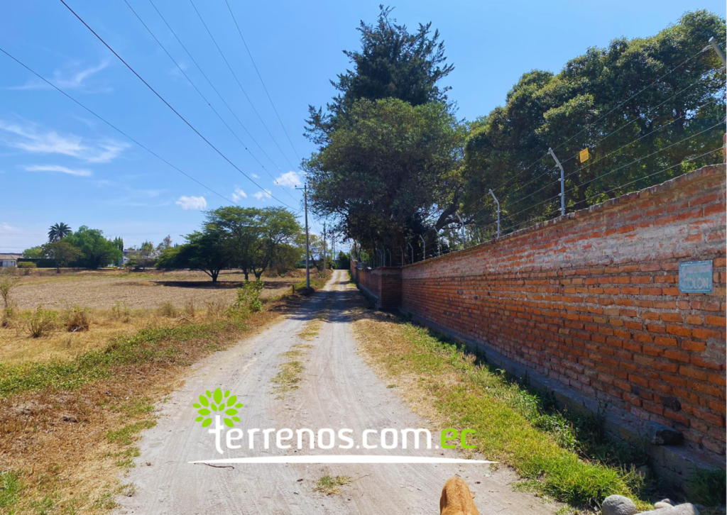Vista adicional de terreno en venta en Puembo, Quito, Pichincha