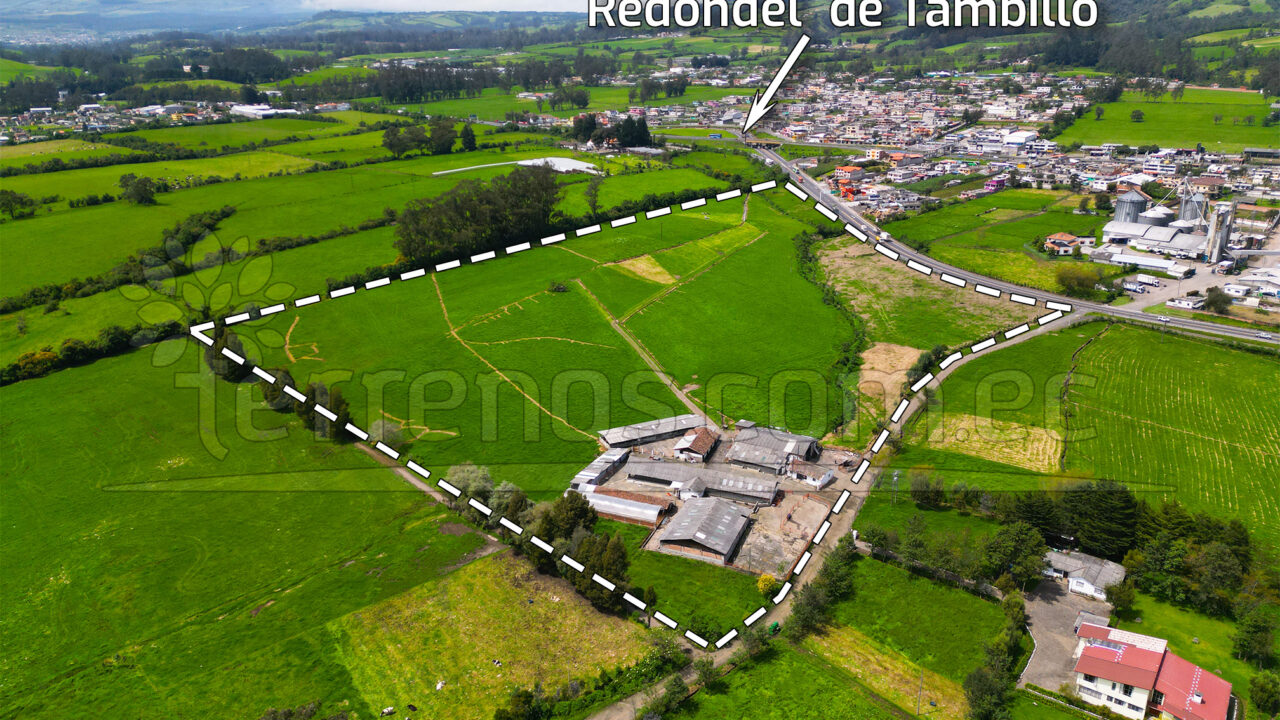 Mesa de trabajo 2