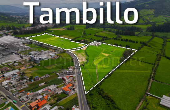 Terreno de venta en Tambillo 16.8 has, E 35