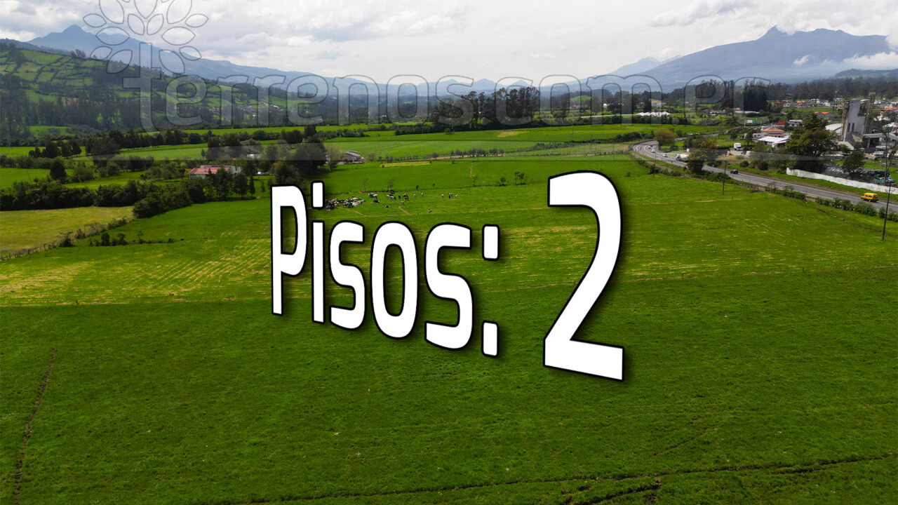 Mesa de trabajo 4