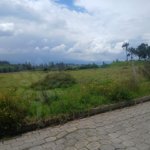 Vista adicional de terreno en venta en Pifo, Quito, Pichincha