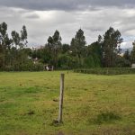 Vista adicional de terreno en venta en Tumbaco, Quito, Pichincha