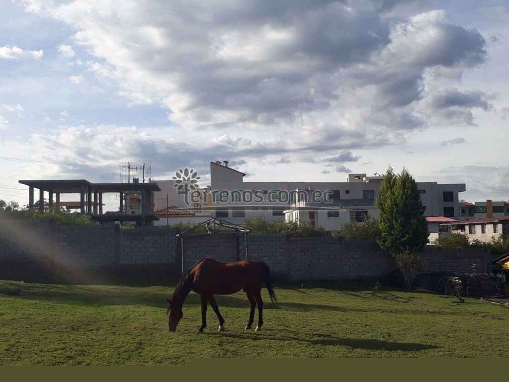 Vista adicional de terreno en venta en Tumbaco, Quito, Pichincha