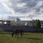 Vista adicional de terreno en venta en Tumbaco, Quito, Pichincha