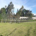 Vista adicional de terreno en venta en Tumbaco, Quito, Pichincha