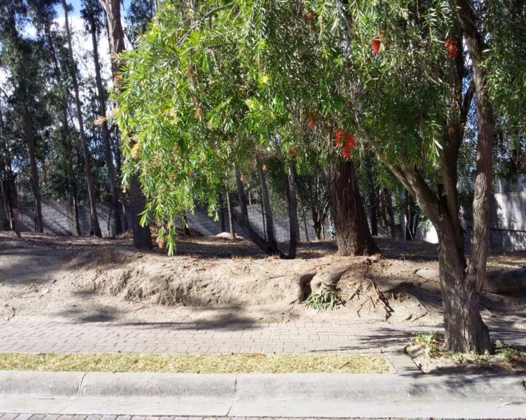 Vista adicional de terreno en venta en Tanda, Quito, Pichincha