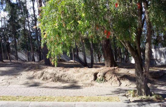 Terreno de Venta en Tanda, 1.026 m2, Urbanización Rancho San Francisco