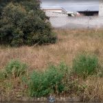 Vista adicional de terreno en venta en Carcelen, Quito, Pichincha