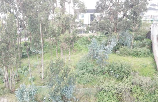 Venta de Terreno Unión Nacional 668 m² independiente El Bosque – Occidental