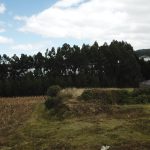 Vista adicional de terreno en venta en Tabacundo, Pedro Moncayo, Pichincha