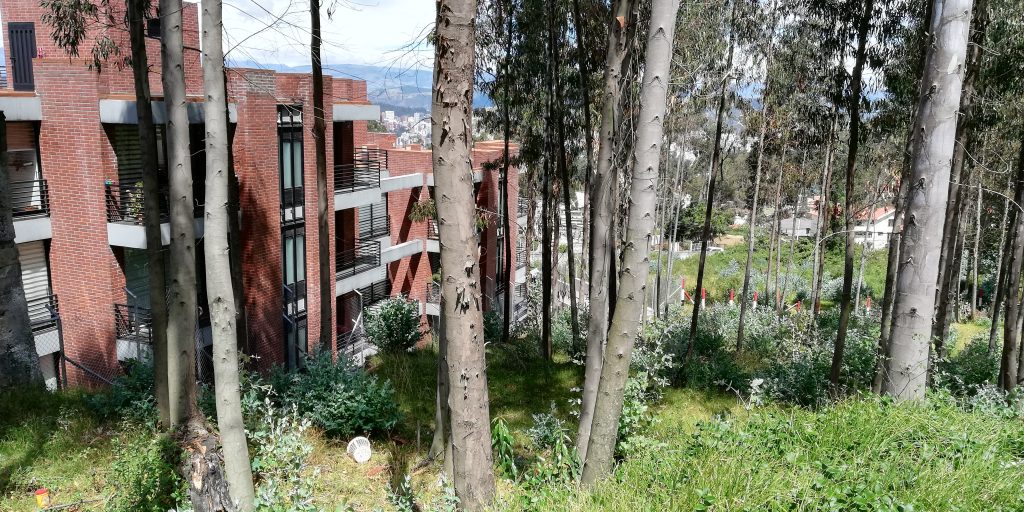 Vista adicional de terreno en venta en Iñaquito Alto, Quito, Pichincha