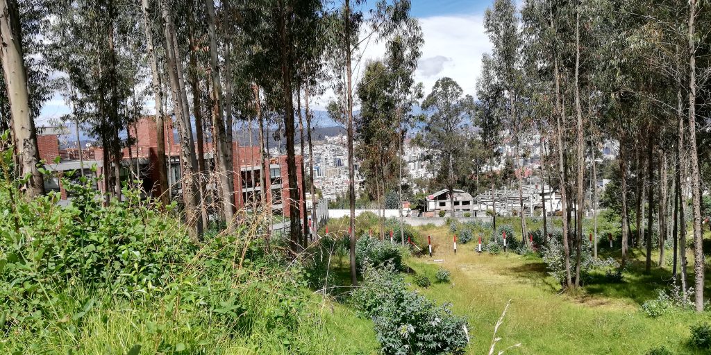 Vista adicional de terreno en venta en Iñaquito Alto, Quito, Pichincha