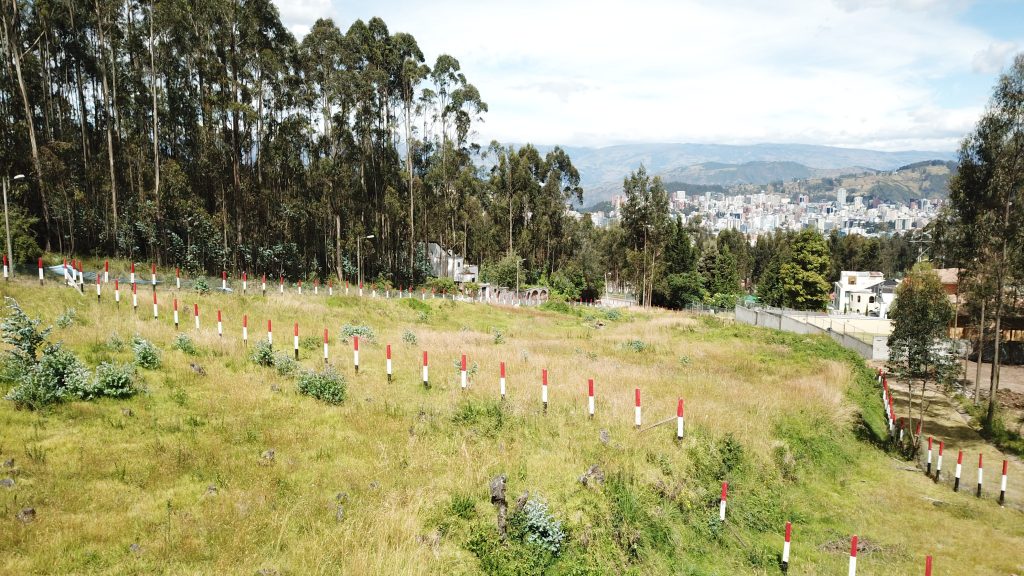 Vista adicional de terreno en venta en Iñaquito Alto, Quito, Pichincha