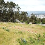 Vista adicional de terreno en venta en Iñaquito Alto, Quito, Pichincha