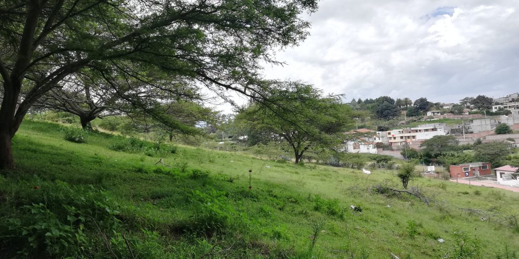 Vista adicional de terreno en venta en Puembo, Quito, Pichincha