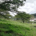 Vista adicional de terreno en venta en Puembo, Quito, Pichincha
