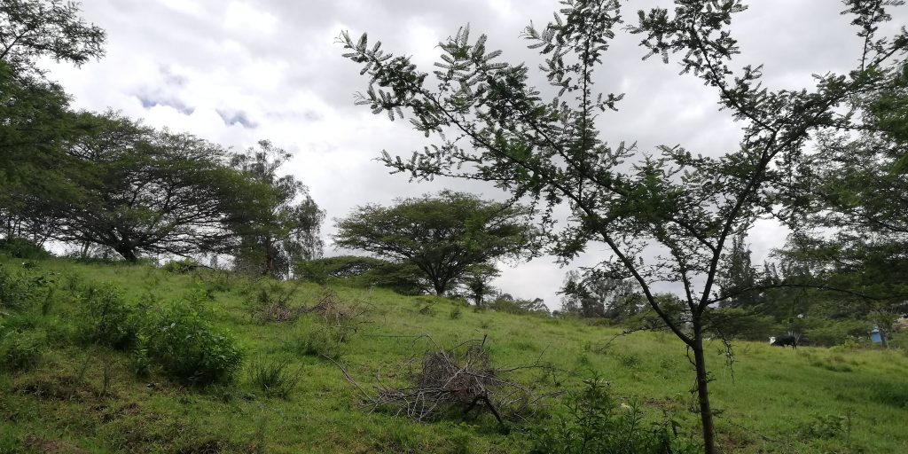 Vista adicional de terreno en venta en Puembo, Quito, Pichincha