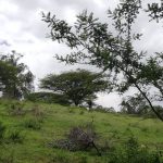 Vista adicional de terreno en venta en Puembo, Quito, Pichincha