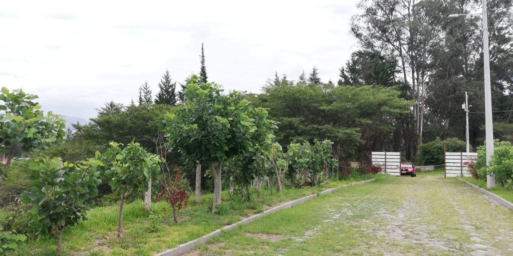 Vista adicional de terreno en venta en Puembo, Quito, Pichincha