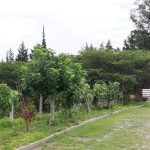 Vista adicional de terreno en venta en Puembo, Quito, Pichincha