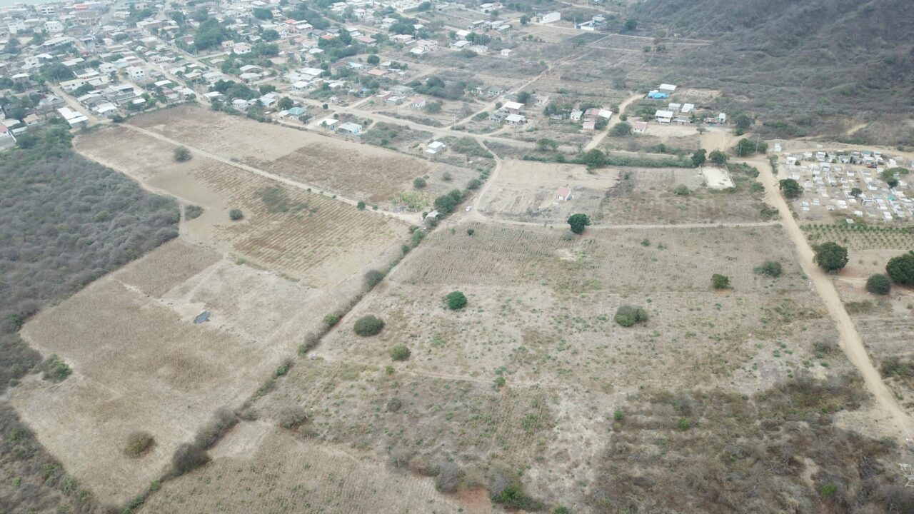 DCIM100MEDIADJI_0029.JPG