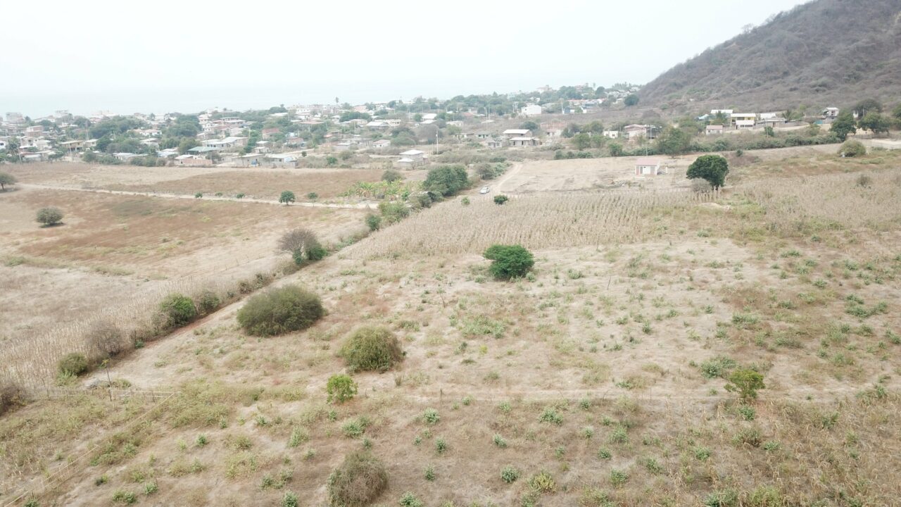 DCIM100MEDIADJI_0026.JPG