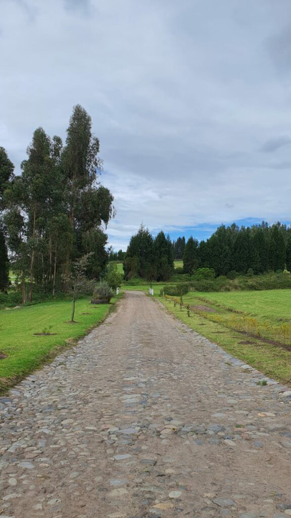 Vista adicional de terreno en venta en Pedro Moncayo, Pichincha