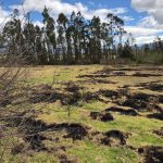 Vista adicional de terreno en venta en Imbabura