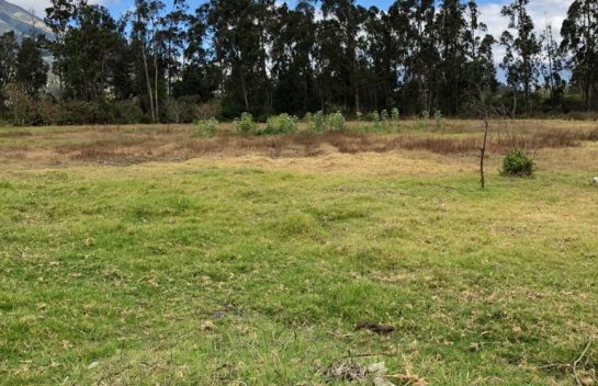 Terreno de venta en Atuntaqui 2,8 hectareas, a 1,6 km del Parque Central