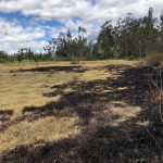 Vista adicional de terreno en venta en Imbabura