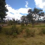 Vista adicional de terreno en venta en Imbabura