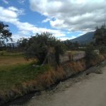 Vista adicional de terreno en venta en Imbabura