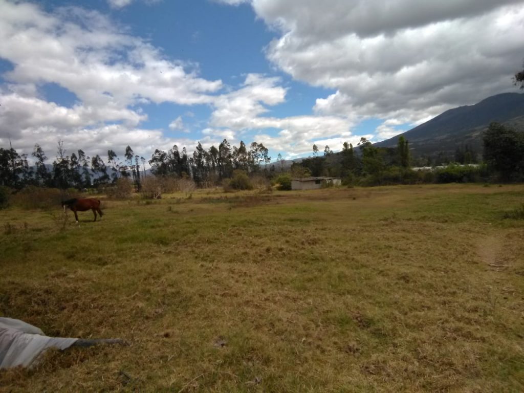 Vista adicional de terreno en venta en Imbabura