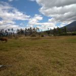 Vista adicional de terreno en venta en Imbabura