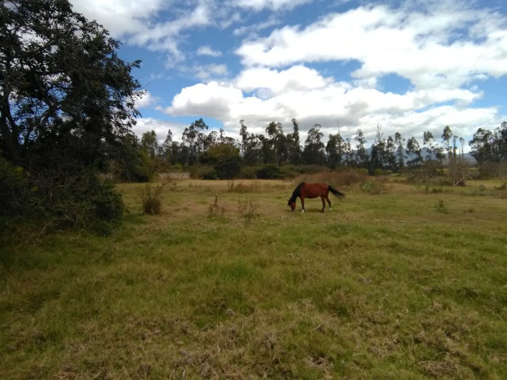 Vista adicional de terreno en venta en Imbabura