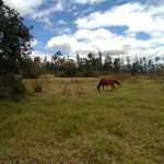 Vista adicional de terreno en venta en Imbabura
