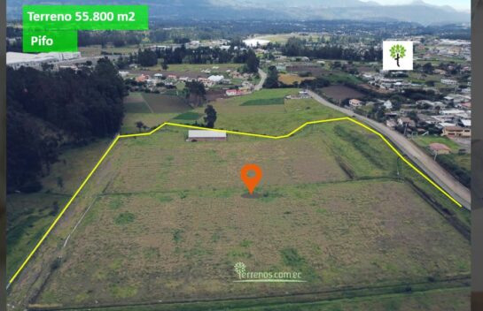 Terreno de venta en Pifo 55.800 m2 a 200 metros de la E35