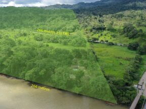 Terreno de venta en el Tena 44 hectareas, sector Arosemena Tola via E45