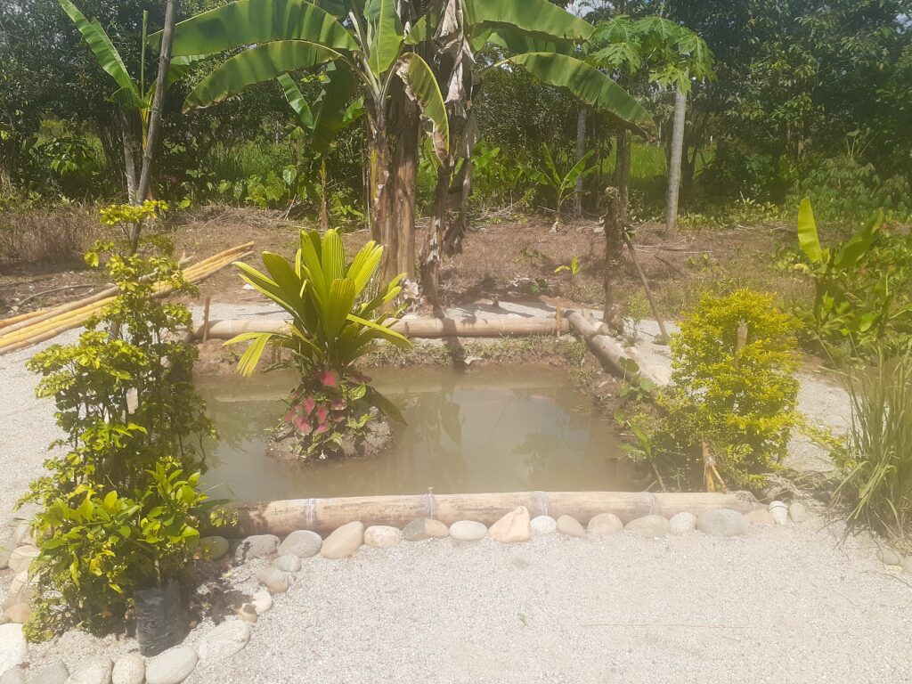 Vista adicional de terreno en venta en El Tena, Napo