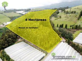 Venta de terreno 4 hectáreas Cayambe.