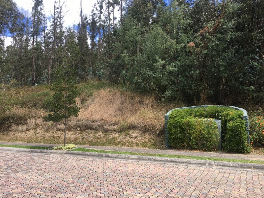 Vista adicional de terreno en venta en Cumbayá, Quito, Pichincha