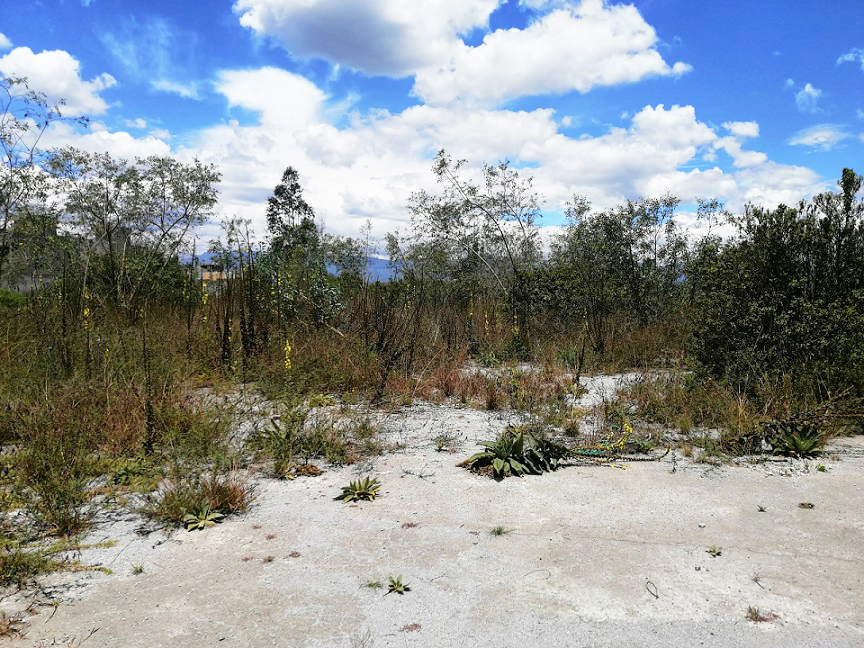 Vista adicional de terreno en venta en LLano Grande, Quito, Pichincha