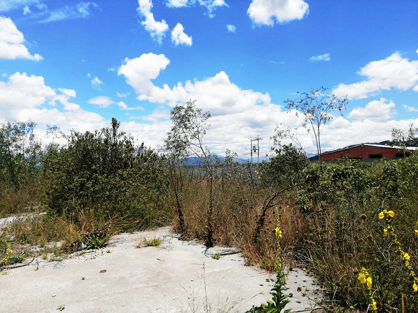 Vista adicional de terreno en venta en LLano Grande, Quito, Pichincha